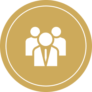 Team  Consulting
